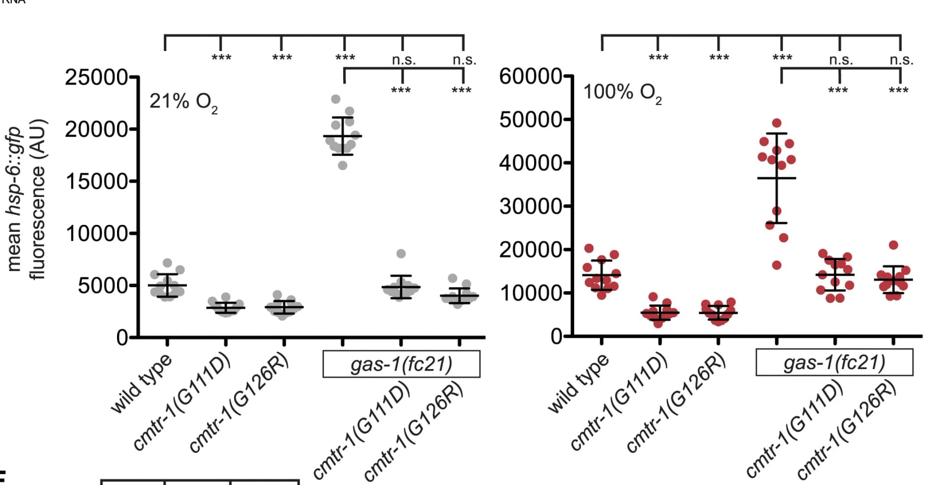 Open access visualization of Scatter Plot, Error Bars, Intestinal Fluorescence, Mitochondrial Stress, HSP-6::GFP