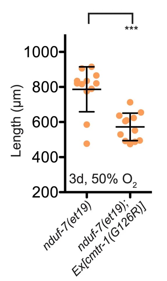Open access visualization of Scatter Plot, Error Bars, Animal Growth, Oxygen Exposure, Recovery