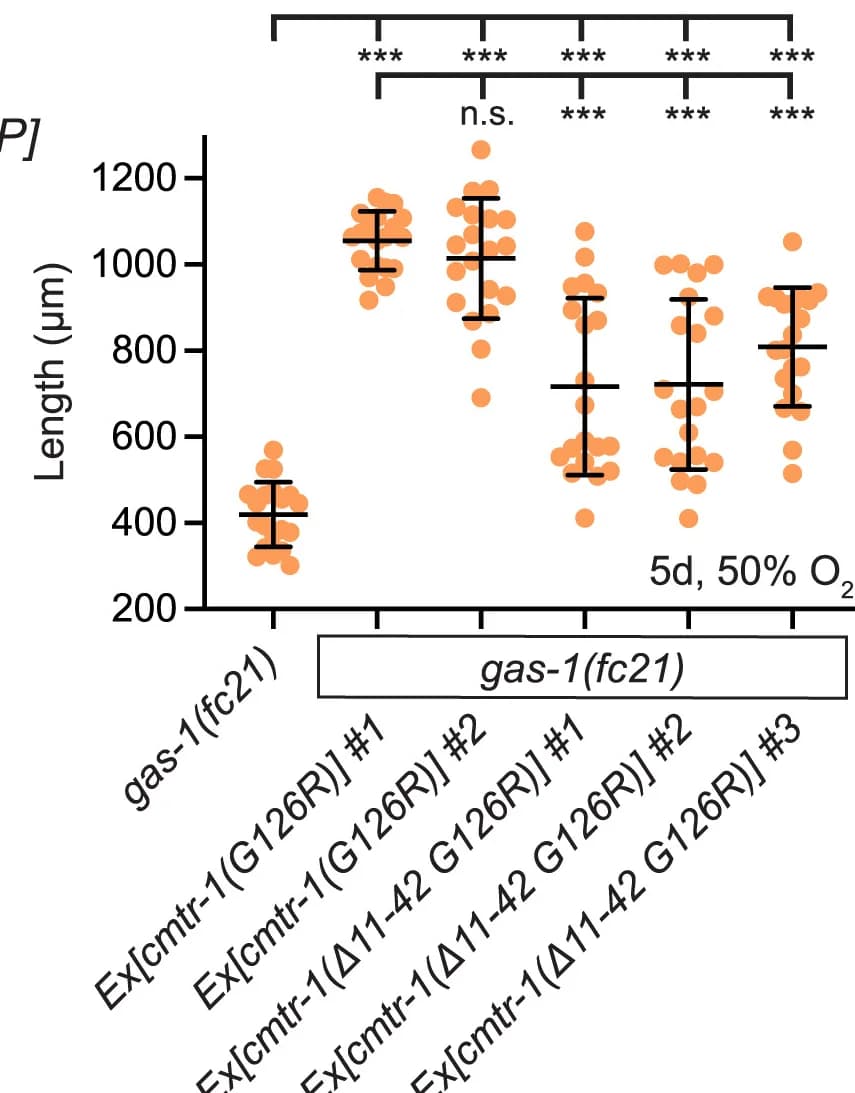 Open access visualization of Scatter Plot, Error Bars, Animal Growth, Oxygen Exposure, Statistical Significance