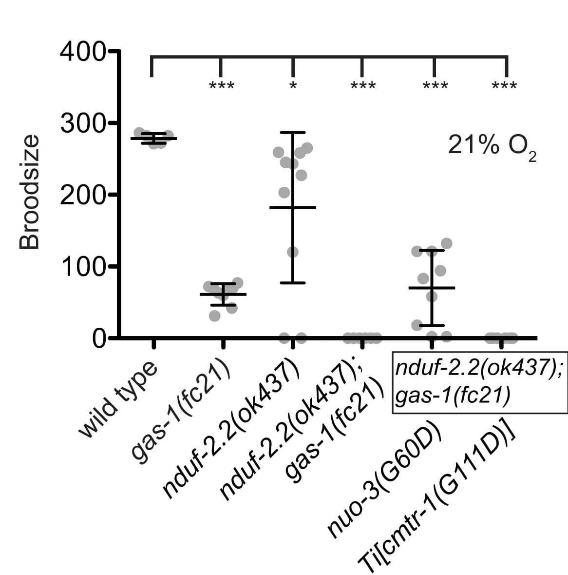 Open access visualization of Scatter Plot, Error Bars, Progeny, Oxygen, t test