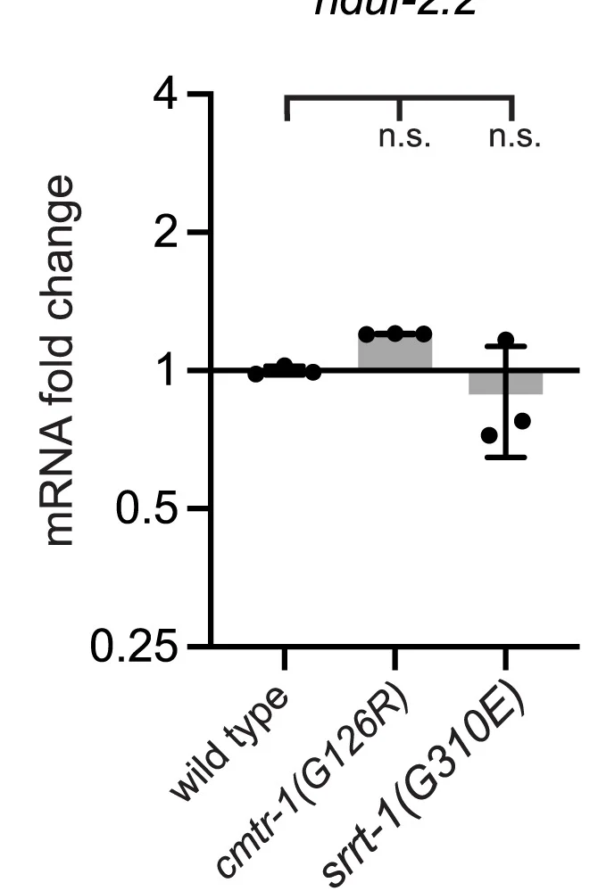 Open access visualization of Bar Plot, Scatter Plot, Error Bars, Real-Time PCR, mRNA