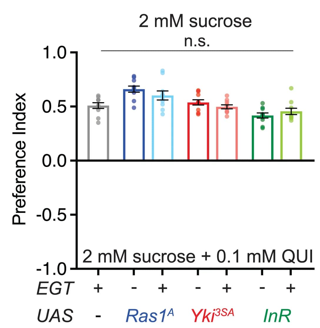 Open access visualization of Bar Plot, Error Bars, Scatter Plot, Taste Preference, Sucrose