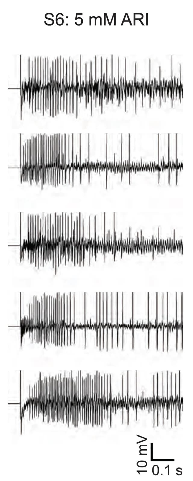 Open access visualization of Line Plot, Tip recording, S6 Sensilla, Ras1A, Yki3SA