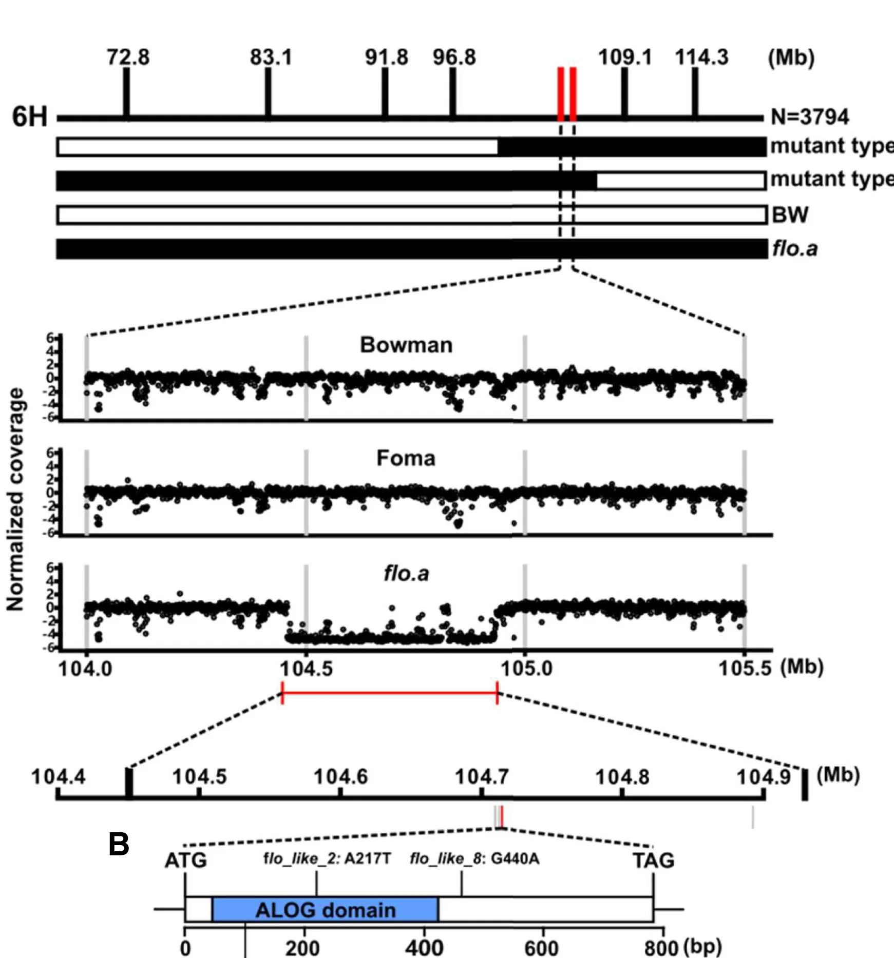 Open access visualization of Scatter Plot, Illustration, Map-Based Cloning, Chromosome 6H, Wild Type