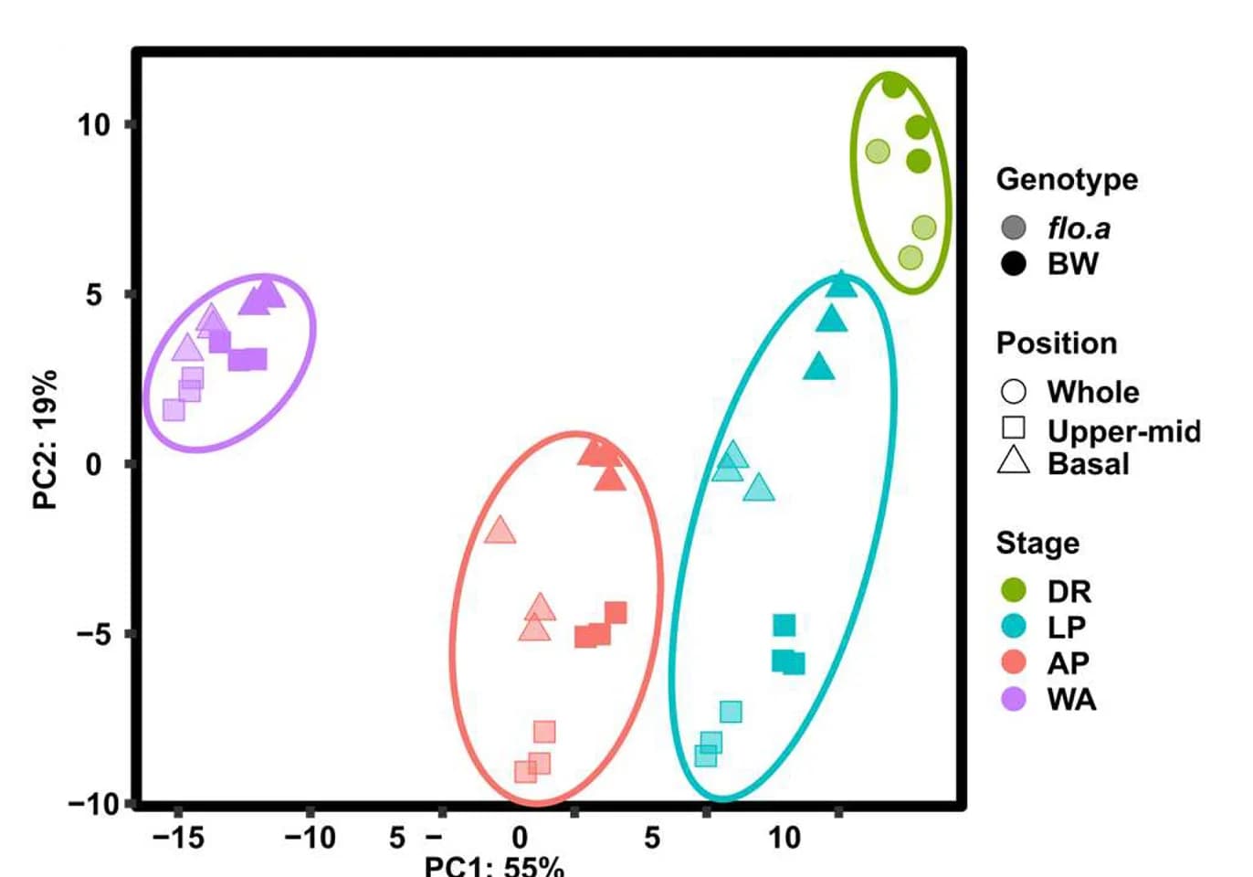 Open access visualization of Scatter Plot, PCA, Principal Component Analysis, Transcriptomes, Spike Sections