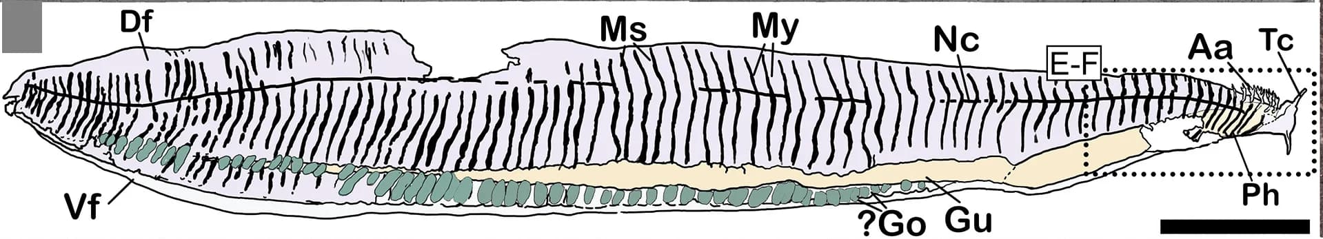 Open access visualization of Illustration, Interpretative Drawing