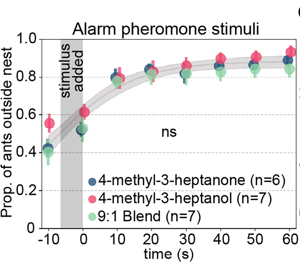 Open access visualization of Line Plot, Error Bars, Young Ants, Old Ants, Alarm Pheromone