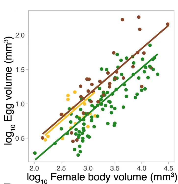 Open access visualization of Scatter Plot, Regression Plot, Egg Volume, Adult Female Body Volume