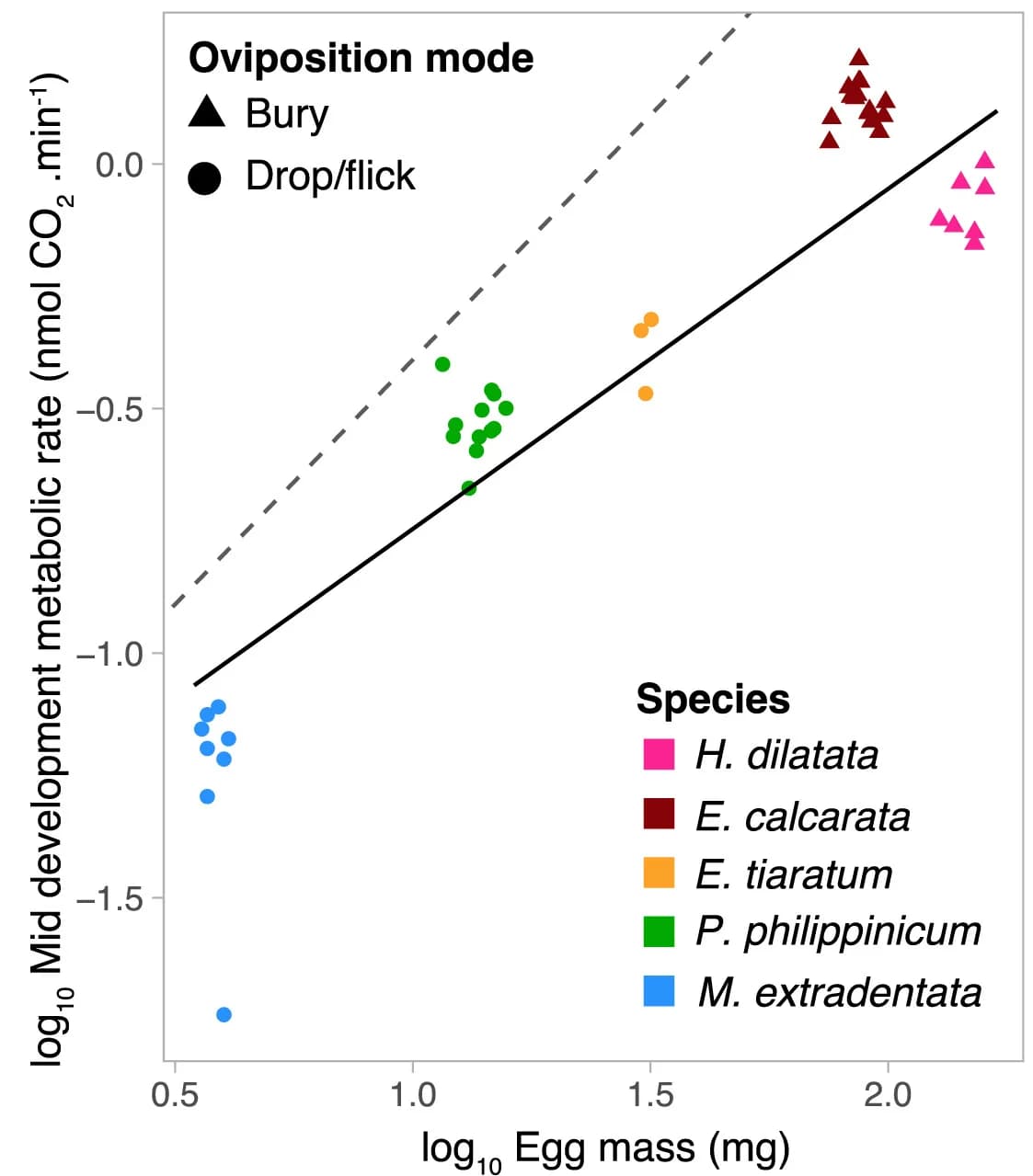 Open access visualization of Scatter Plot, Regression Plot, Embryogenesis Metabolic Rate, Egg Mass