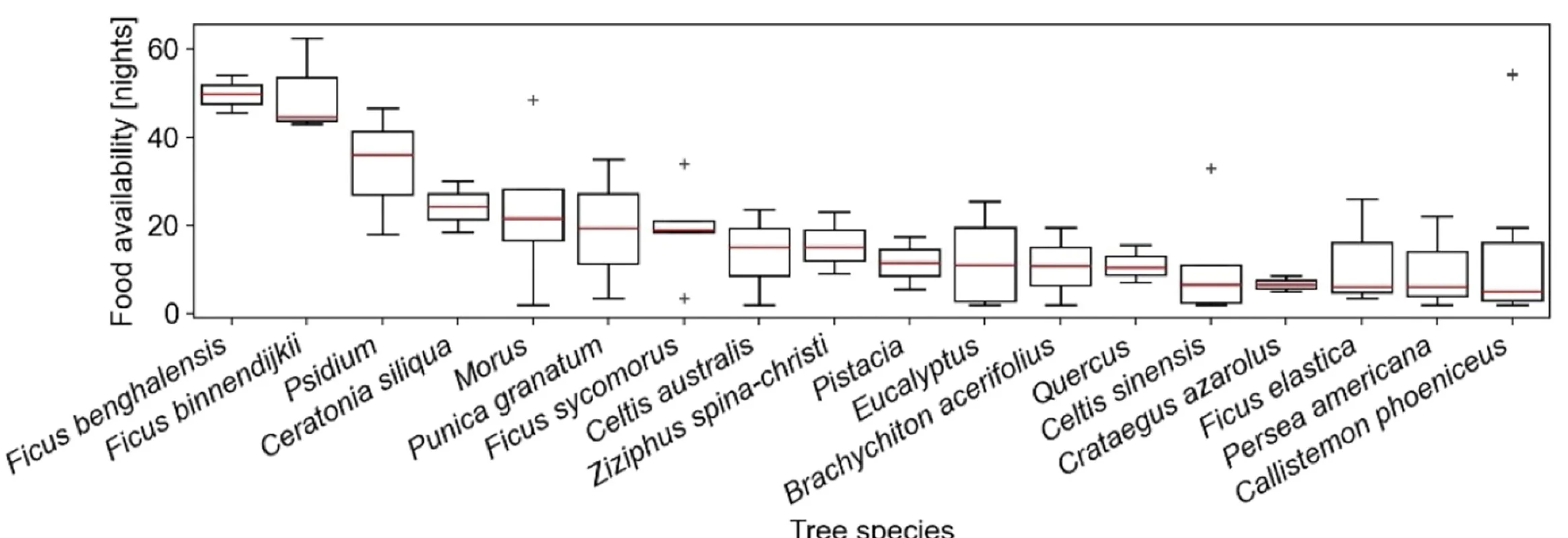 Open access visualization of Box Plot, Visit Duration, Tree Species, Bats, Fruiting Trees