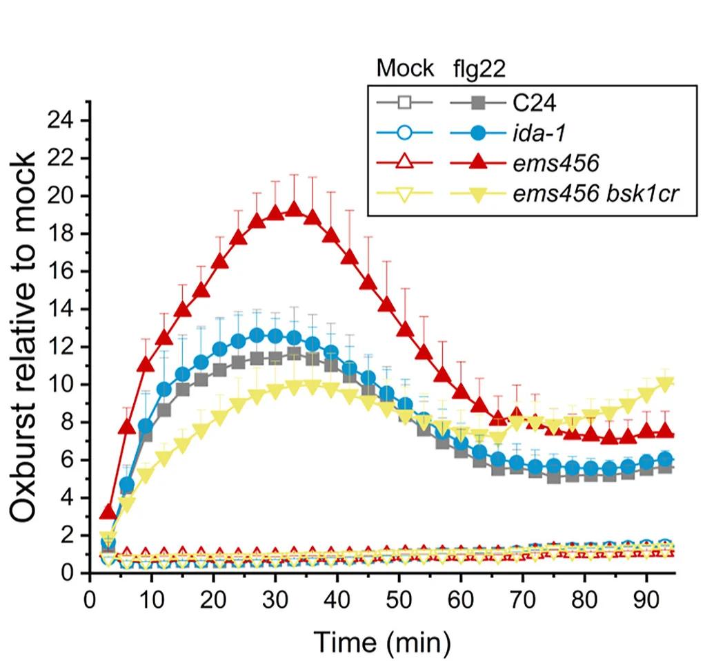 Open access visualization of Line Plot, Error Bars, Reactive Oxygen Species, Leaf Discs, Flagellin