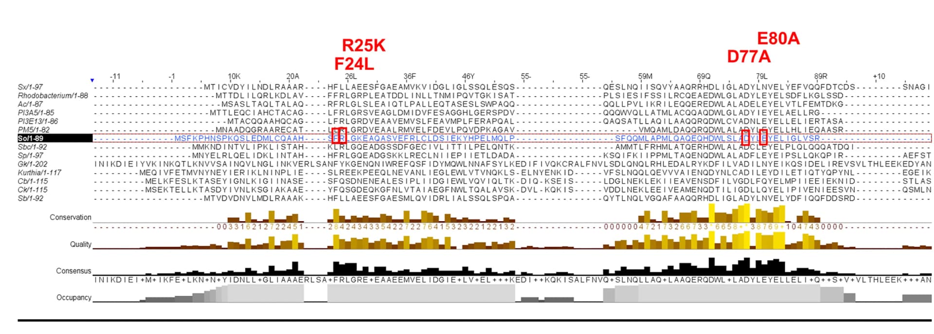 Open access visualization of Illustration, Workflow, Sequence Alignment, GlfM, Point Mutations