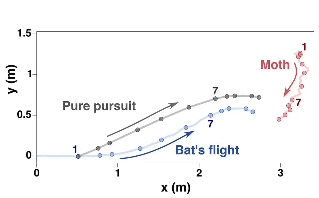 Open access visualization of Line Plot, Trajectories, Simulated Flight, Bat, Pure Pursuit