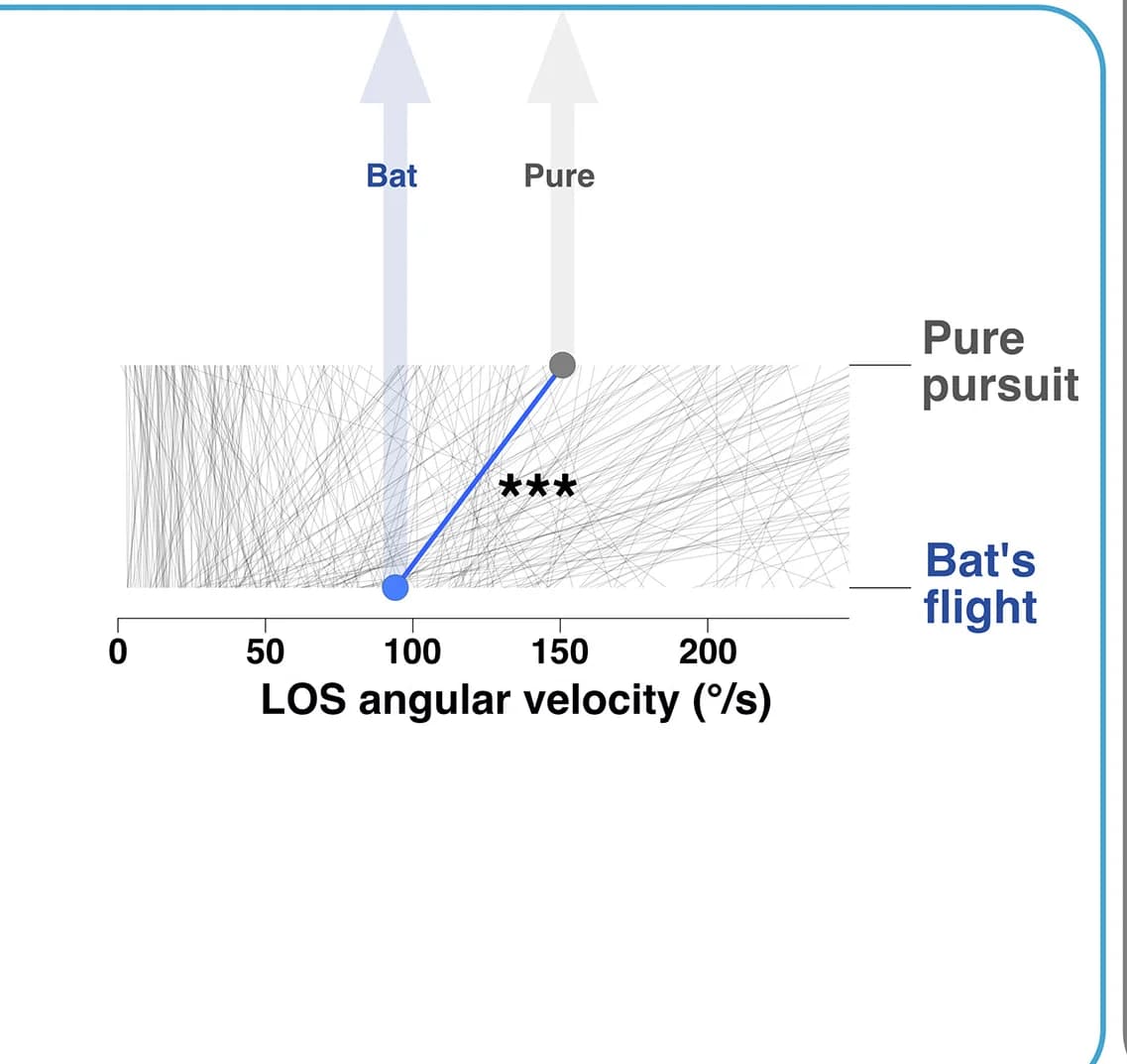 Open access visualization of Line Plot, LOS Angular Velocity, Bat Flight, Simulated Flight, Pure Pursuit