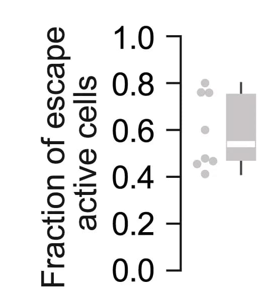 Open access visualization of Box Plot, Scatter Plot, Active Cells, Escape