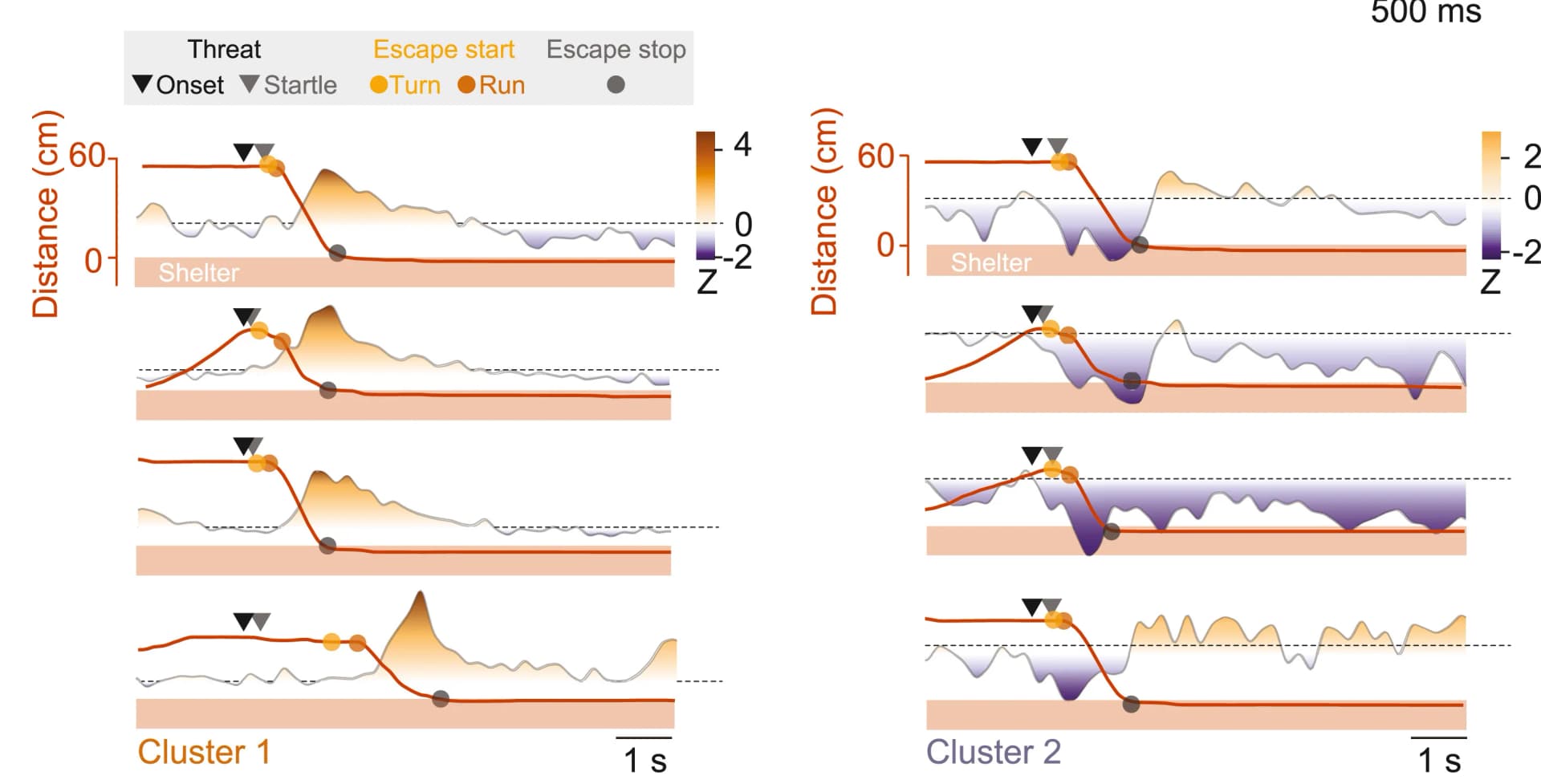 Open access visualization of Line Plot, Scatter Plot, Cell Activity, Calcium Signal, Shelter Distance