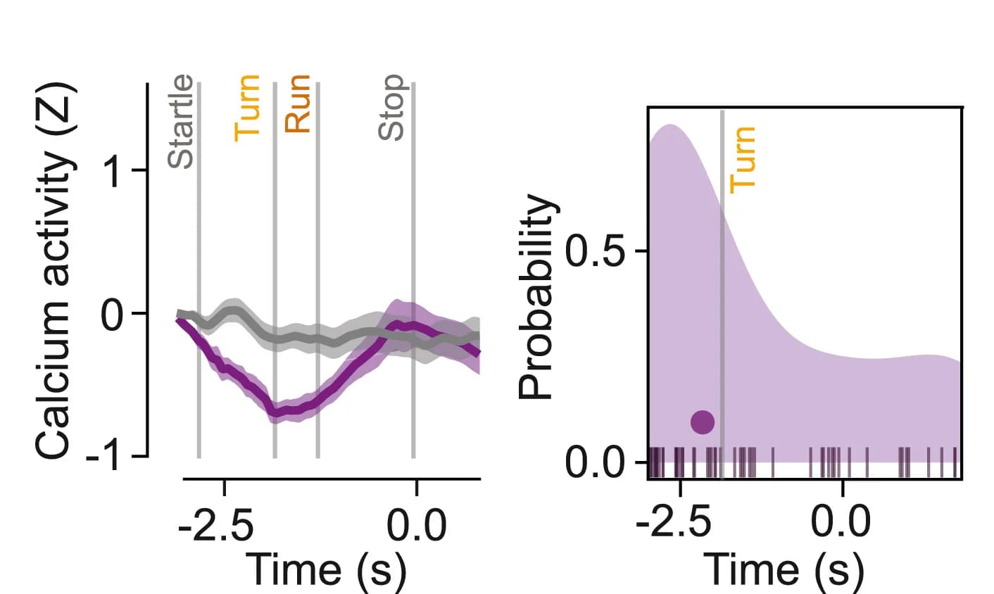Open access visualization of Line Plot, Error Bars, Density Plot, Calcium Signal, Escape Termination