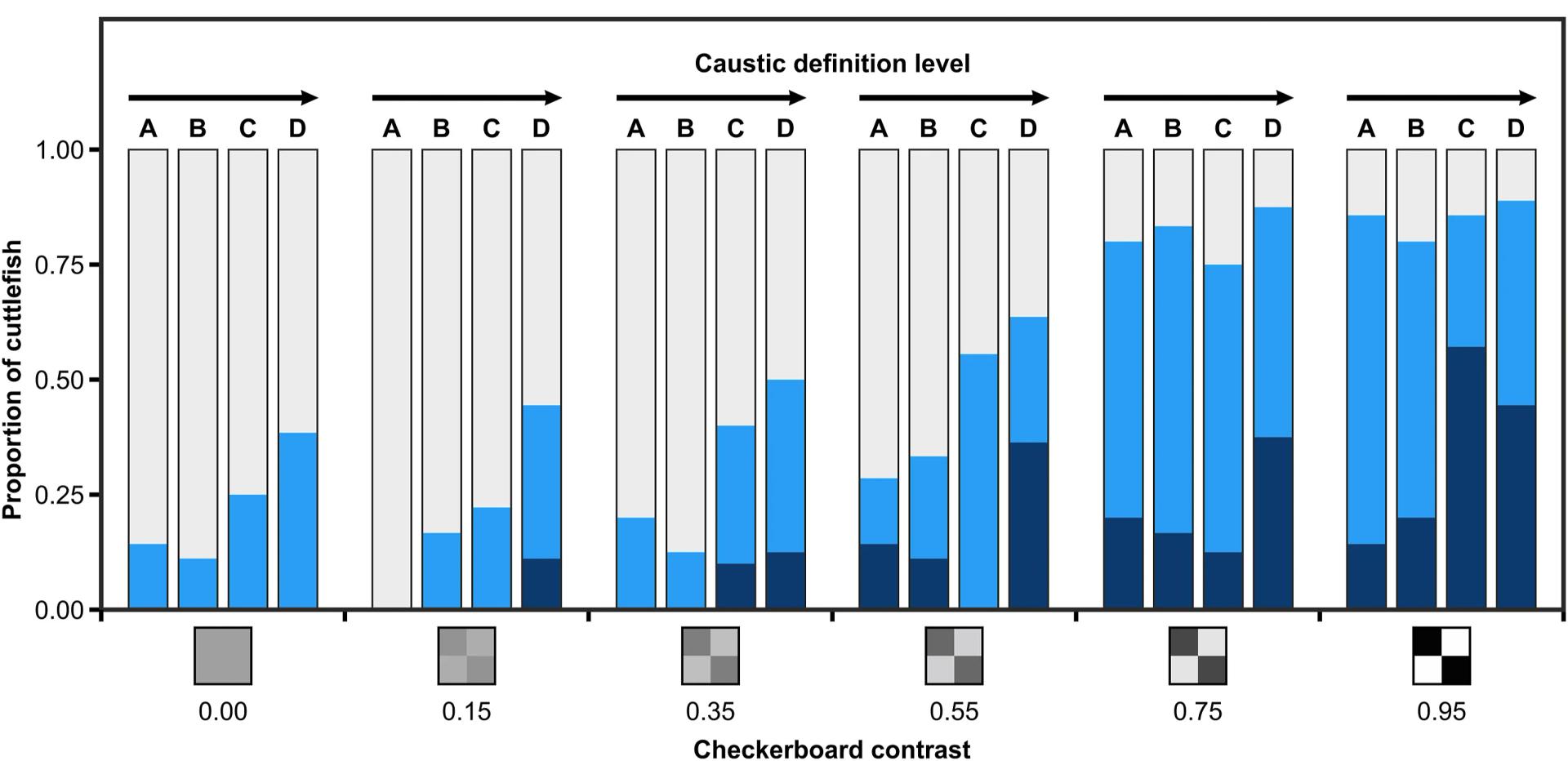 Open access visualization of Stacked Bar Plot, Cuttlefish, Disruptive Categories, Checkerboards, Michelson Contrast