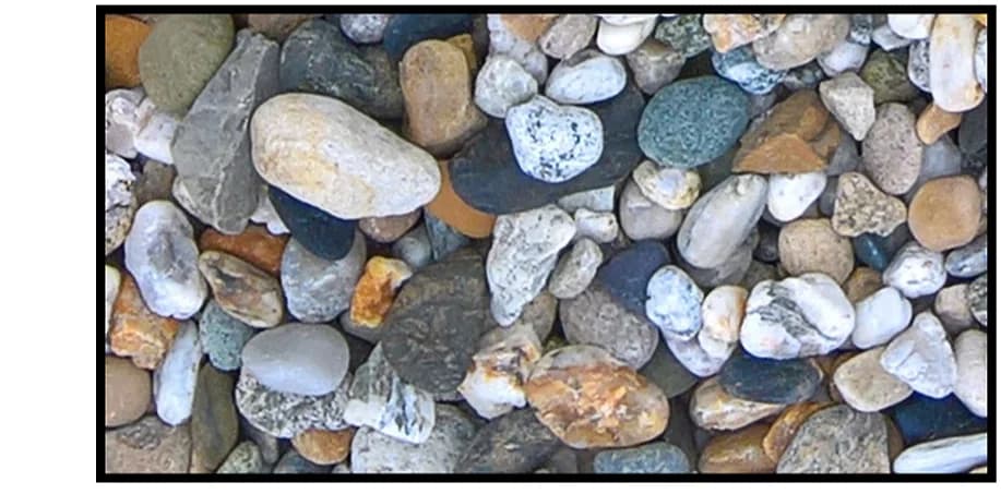 Open access visualization of Photo, Pebbly Substrate, Photograph
