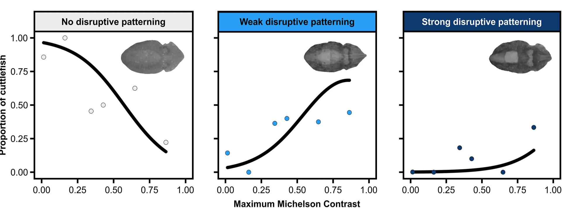 Open access visualization of Scatter Plot, Line Plot, Cuttlefish, Disruptive Categories, Michelson Contrast