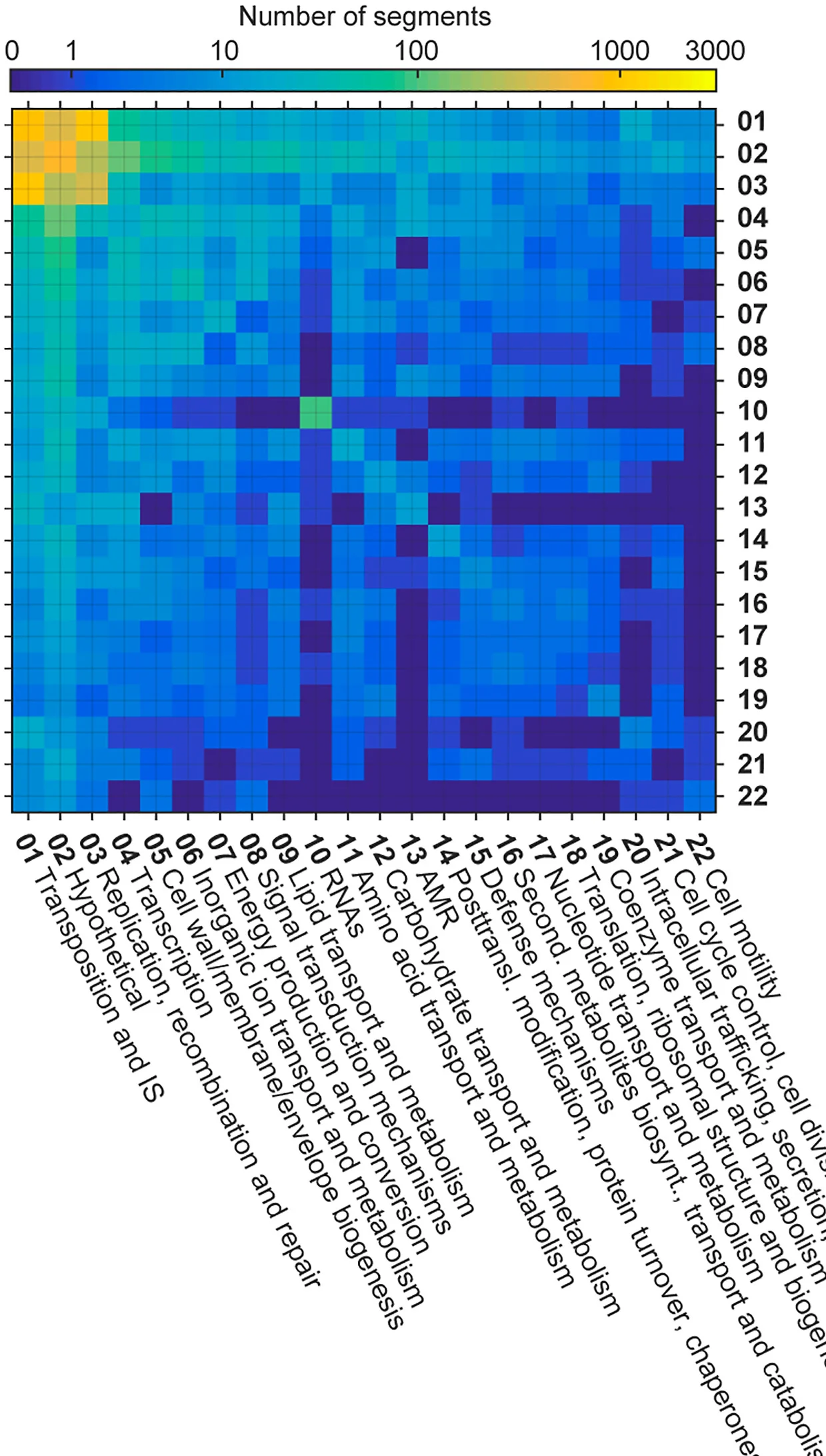 Open access visualization of Heatmap, Gene Functions, Plasmid Segments, CDSs