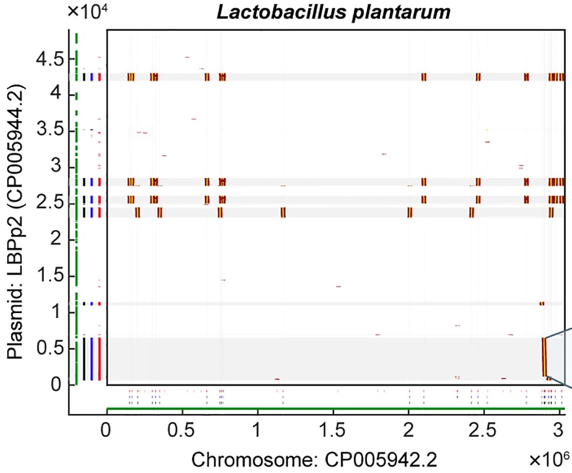 Open access visualization of Scatter Plot, Plasmid Segments, Gene Transfer, Sequence Similarity, Nucleotides