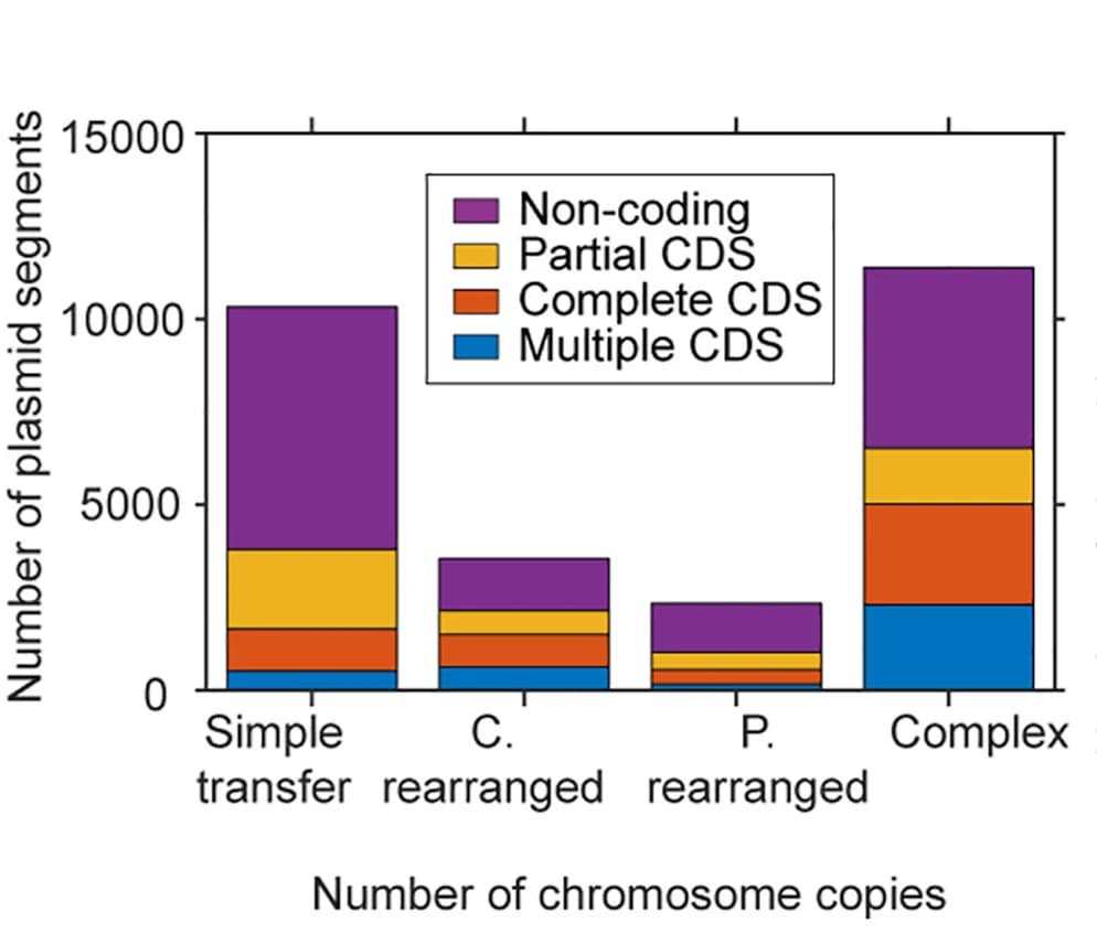Open access visualization of Stacked Bar Plot, Plasmid, Intersection Shape