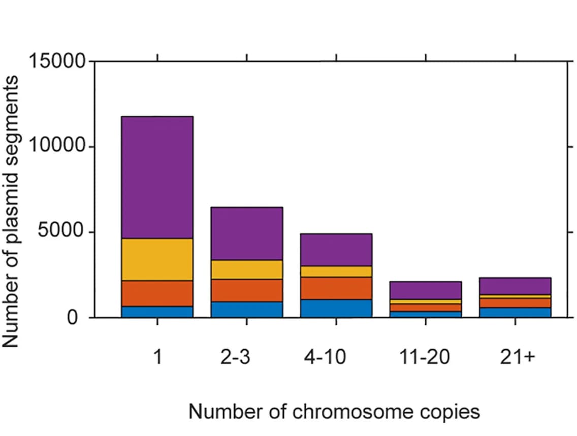 Open access visualization of Stacked Bar Plot, Copy Number, Plasmid, Chromosome