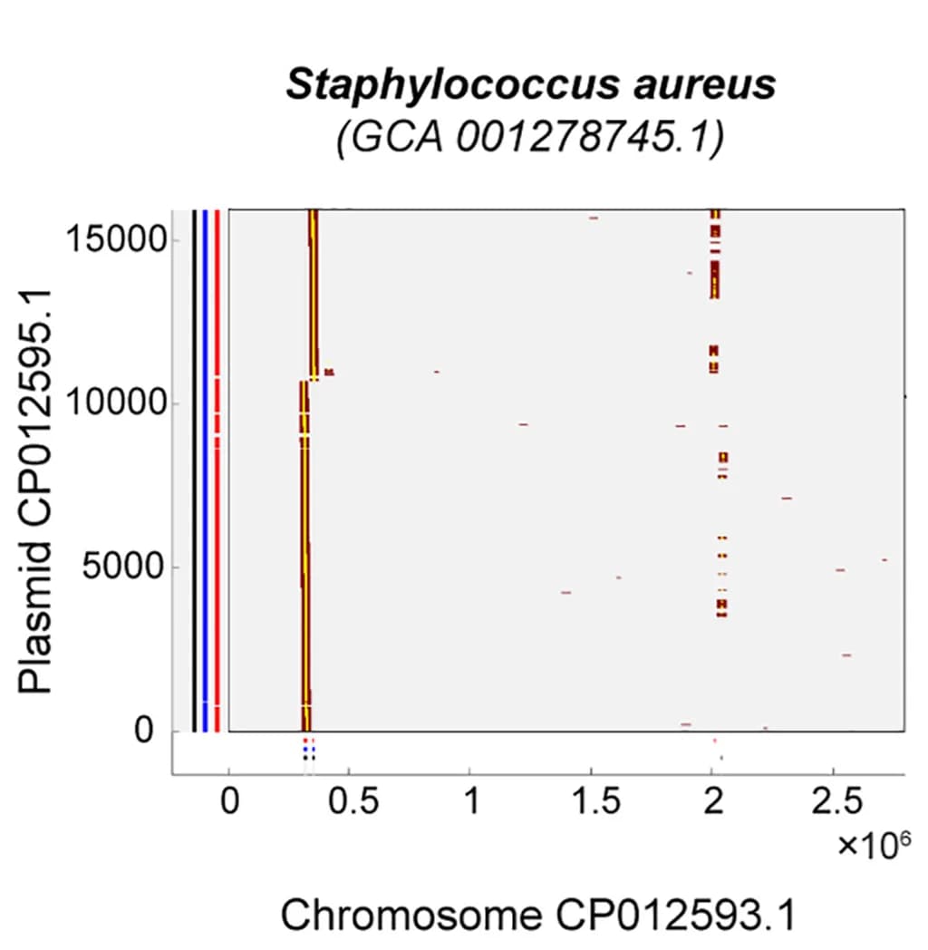 Open access visualization of Scatter Plot, 2D Sequence Similarity, Plasmid, Chromosome, S. aureus