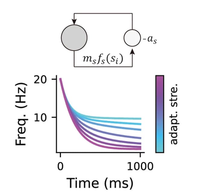 Open access visualization of Line Plot, Workflow, Firing Rate Adaptation, Negative Feedback, Cell Firing