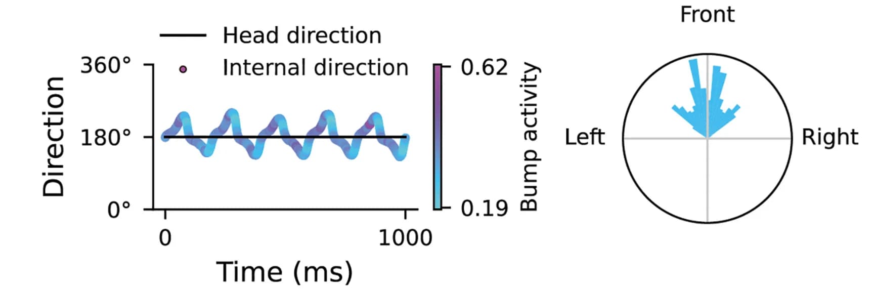 Open access visualization of Line Plot, Bar Plot, Theta Sweeps, Straight Trajectory, Head Direction