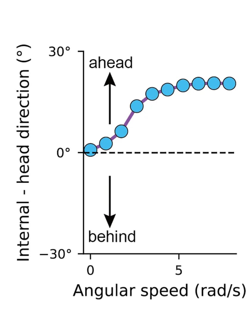 Open access visualization of Line Plot, Scatter Plot, Offset, Internal Direction, Head Axis