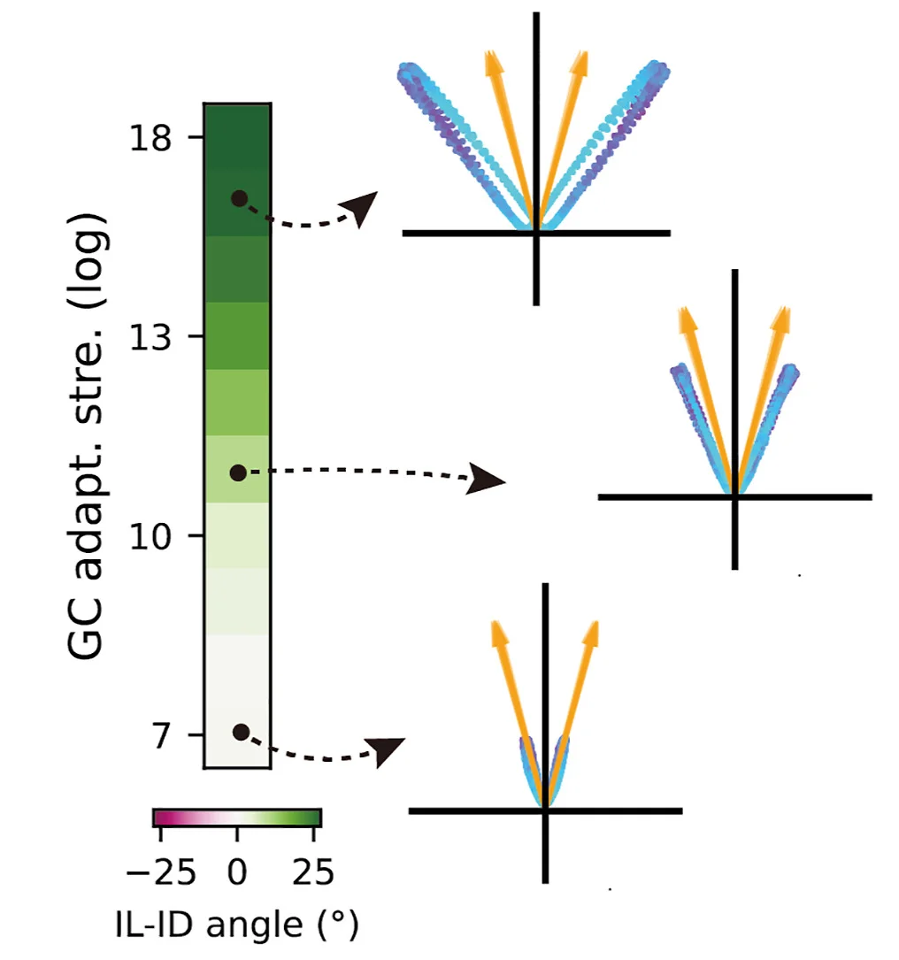 Open access visualization of Heatmap, Scatter Plot, Angular Difference, Location Sweep, Direction Sweep