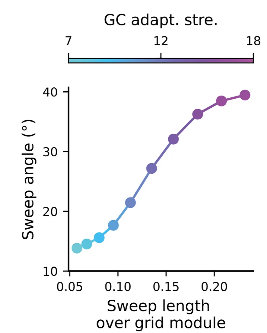 Open access visualization of Line Plot, Scatter Plot, Sweep Angles, Sweep Lengths, Grid Spacing