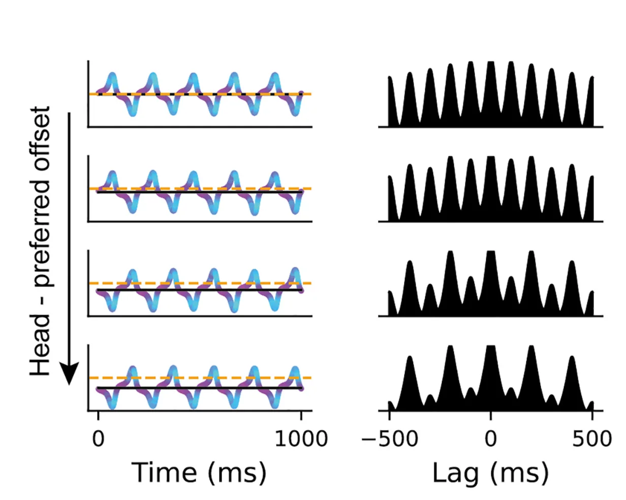 Open access visualization of Line Plot, Density Plot, Theta Skipping, Head Direction, Probed Cell