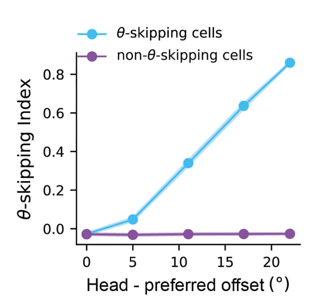 Open access visualization of Line Plot, Scatter Plot, Error Bars, Theta Skipping Index, Head Direction