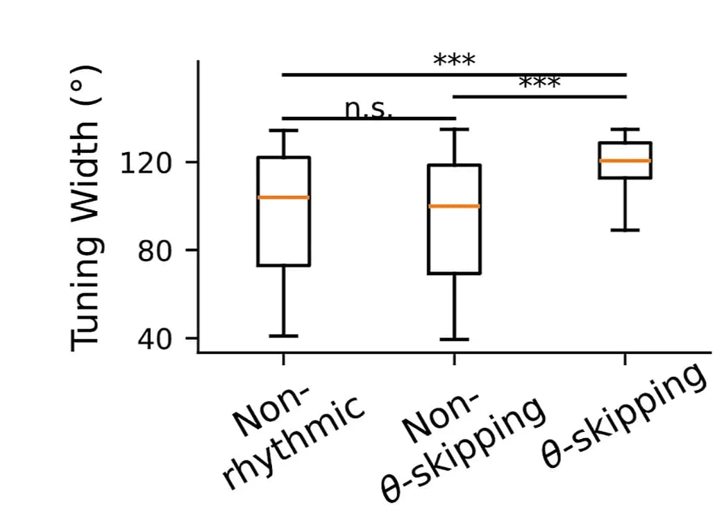 Open access visualization of Box Plot, Tuning Width, HD Cells, Classic HD Cells, Non-Theta-Skipping HD Cells
