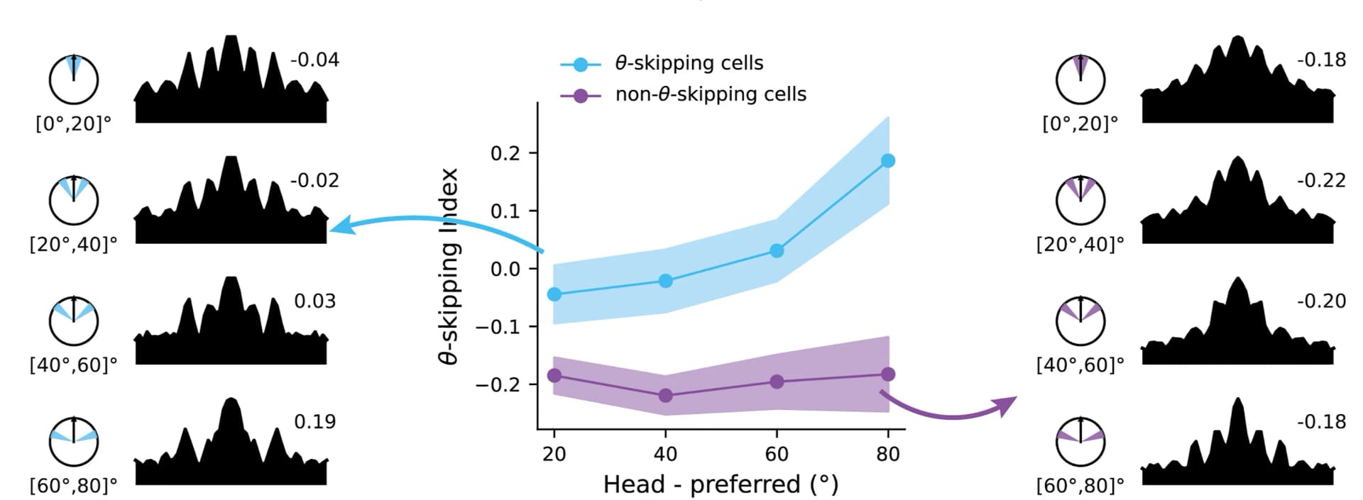 Open access visualization of Line Plot, Error Bars, Theta-Skipping Index, Head Direction, Preferred Direction