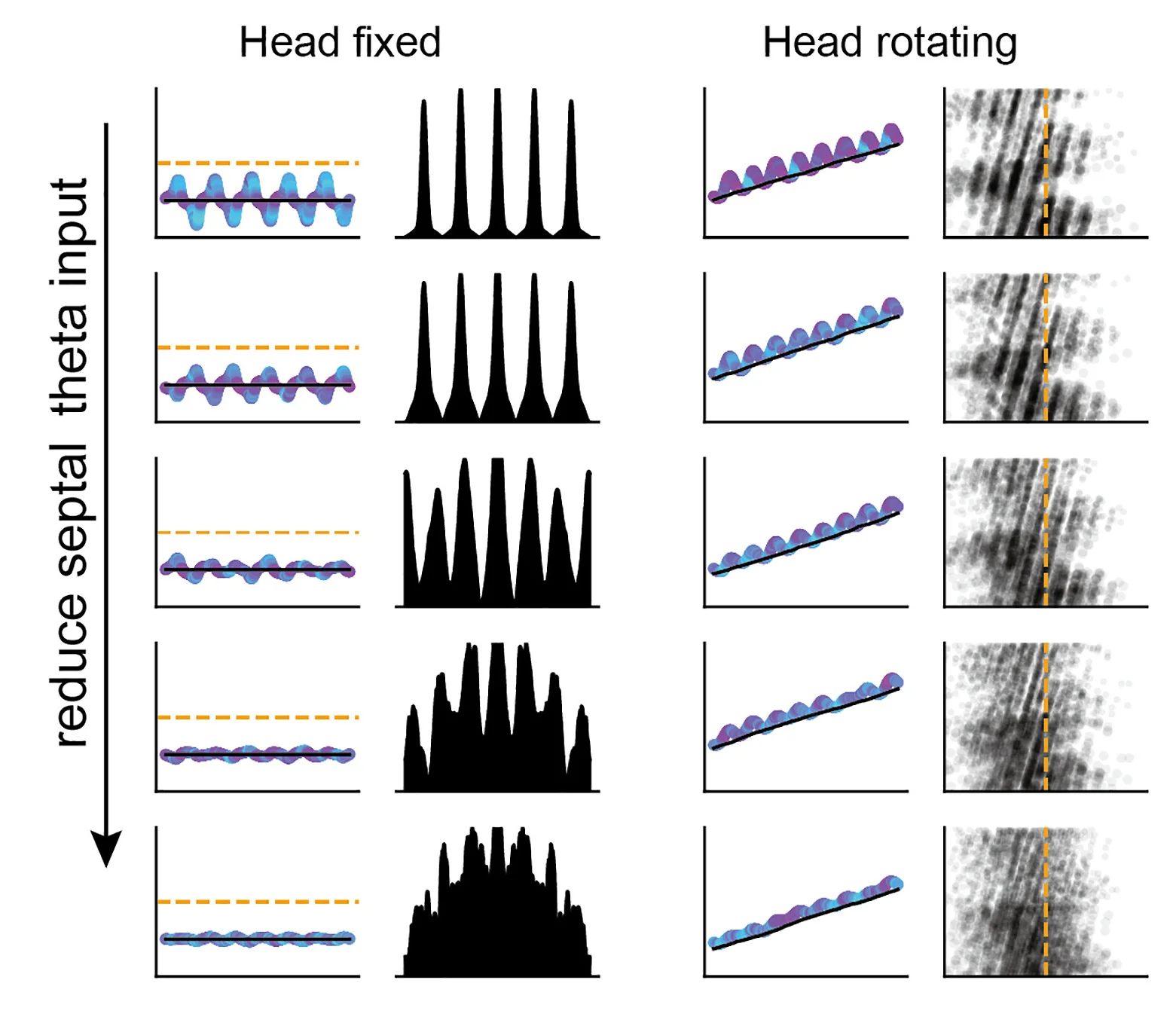 Open access visualization of Line Plot, Scatter Plot, Density Plot, Theta Skipping, Head Fixing
