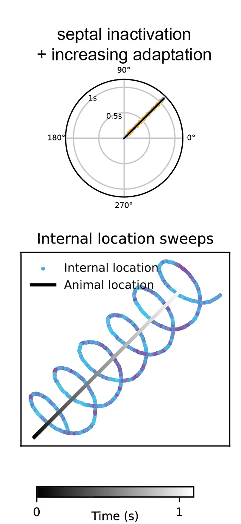 Open access visualization of Scatter Plot, Line Plot, Circular Sweeps, Grid Cells, Medial Septum