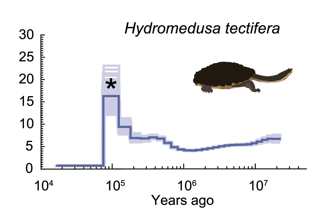Open access visualization of Line Step, Error Bars, Effective Population Size, Turtles, Population Collapses