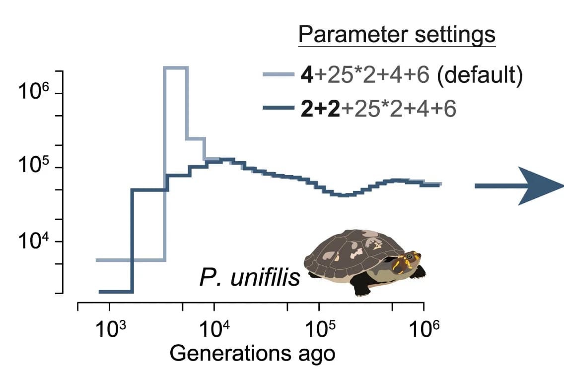 Open access visualization of Line Step, Photo, Illustration, Time Window Splitting, Ne Peak