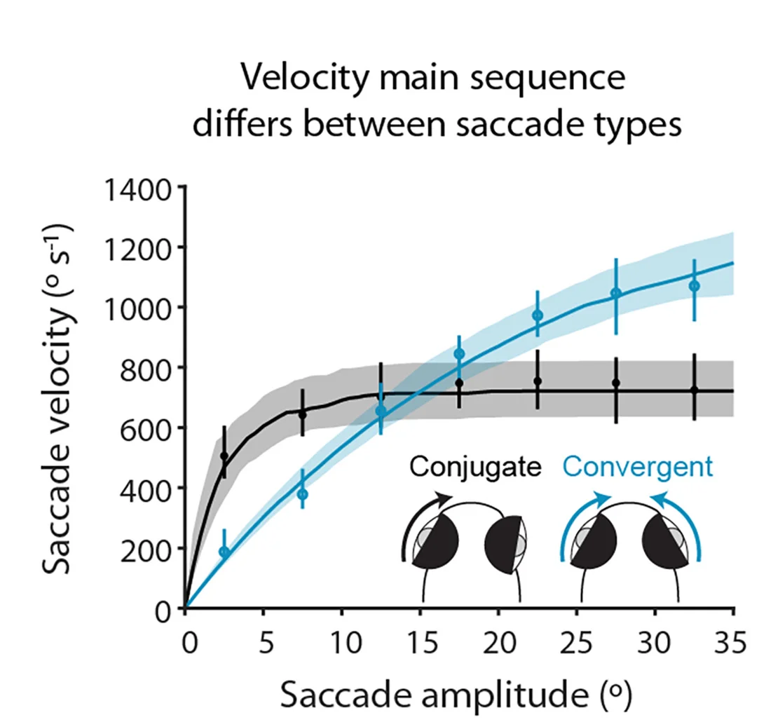 Open access visualization of Line Plot, Error Bars, Velocity Main Sequence, Convergent Saccades, Conjugate Saccades