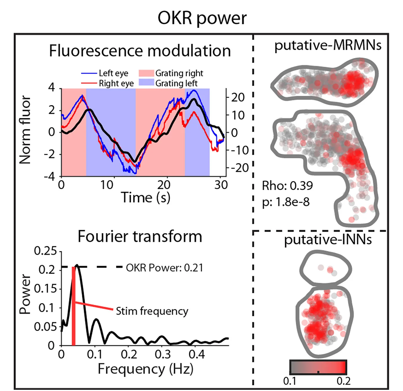Open access visualization of Line Plot, Scatter Plot, OKR Power, Cell, Fluorescence Modulation