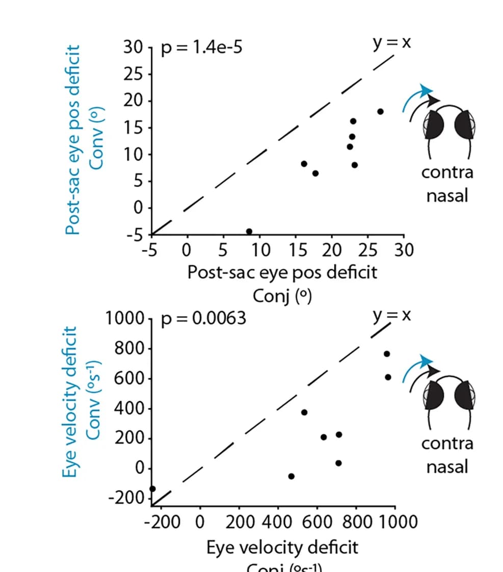Open access visualization of Scatter Plot, Eye Position, Eye Velocity, Conjugate Saccades, Convergent Saccades