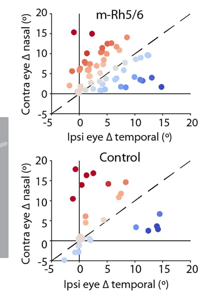 Open access visualization of Scatter Plot, Regression Plot, Eye Position, Contralateral Eye, Ipsilateral Eye