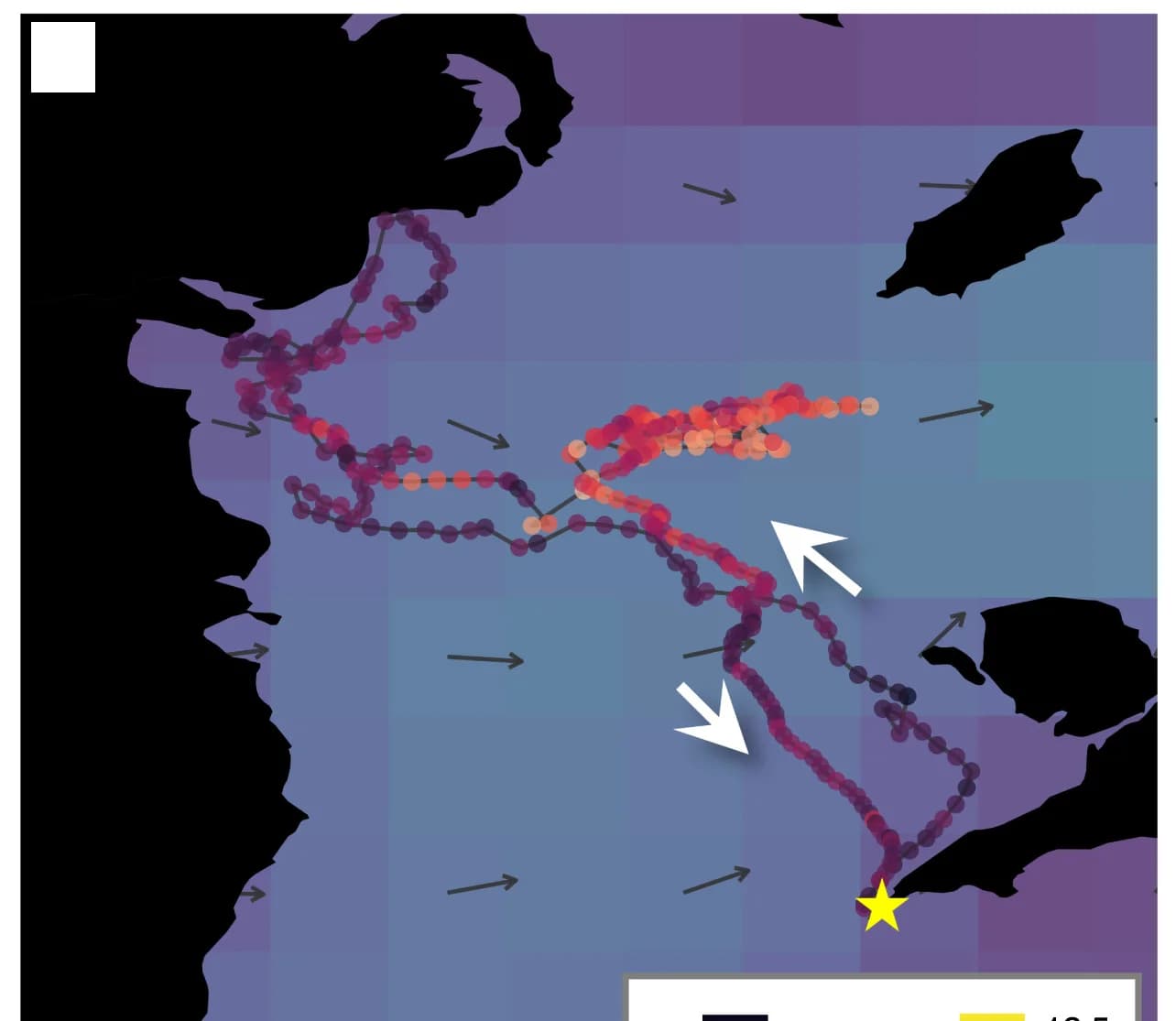 Open access visualization of Geo Map, Foraging Trips, Incubation, Self-Provisioning, Low Wind Conditions