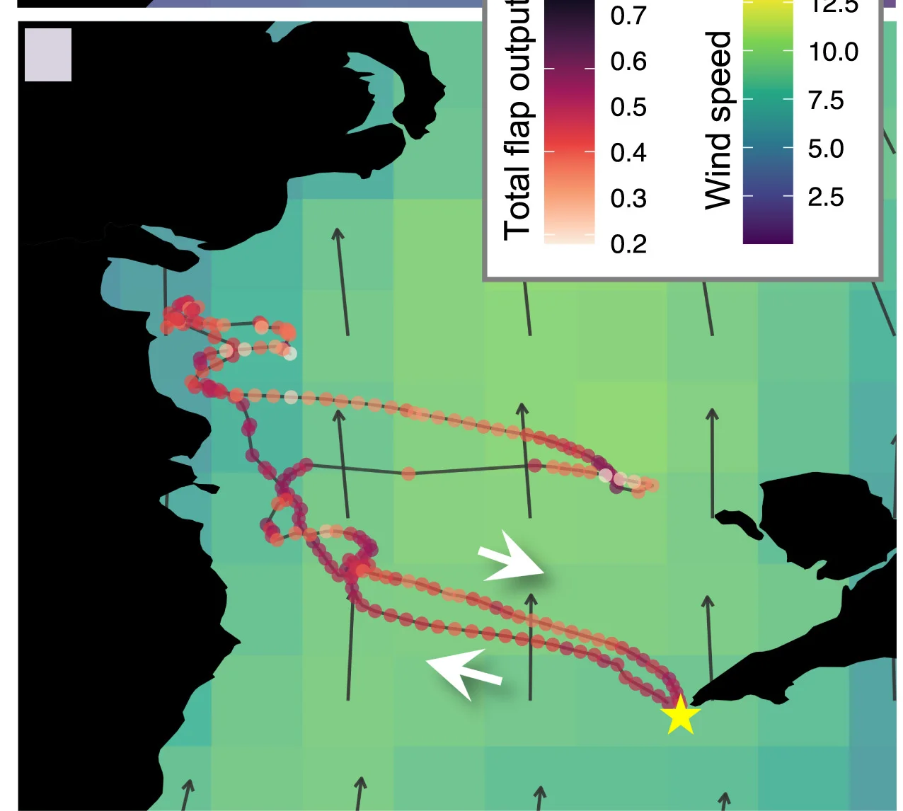 Open access visualization of Geo Map, Scatter Plot, Line Plot, Foraging Trips, Incubation