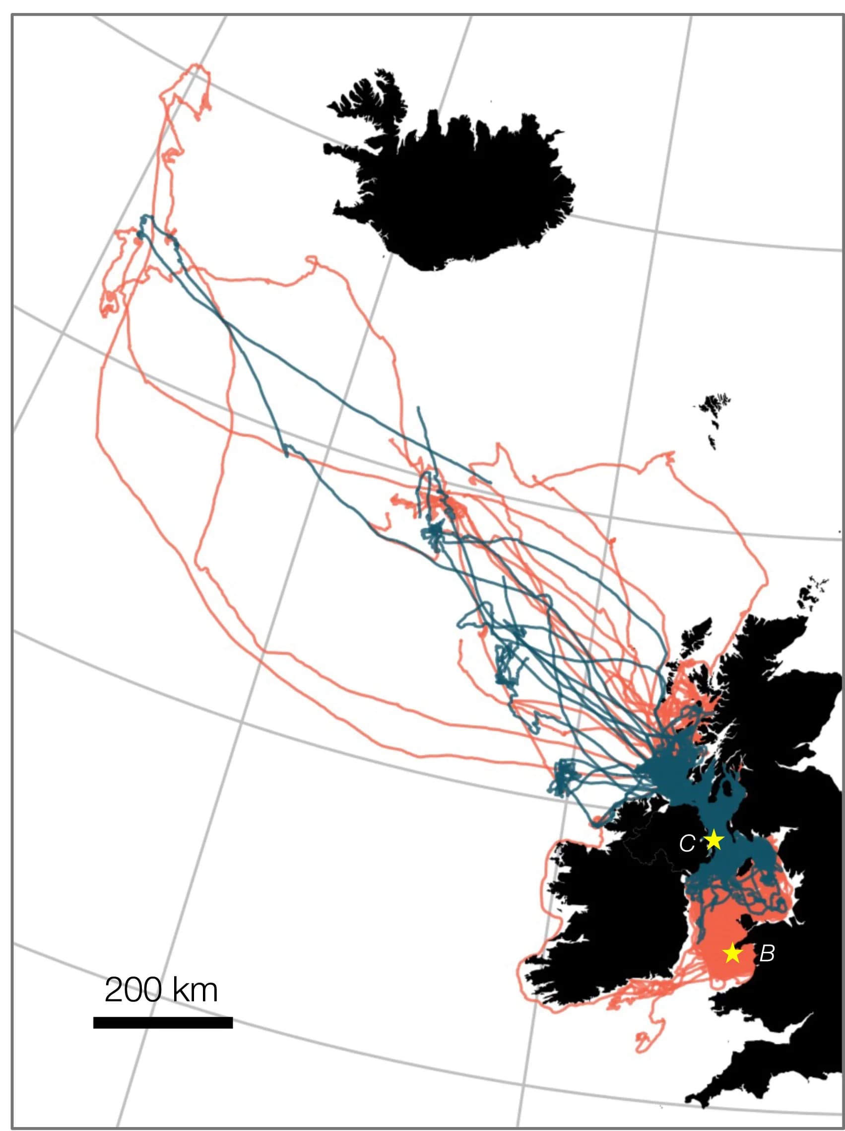 Open access visualization of Geo Map, Line Plot, Manx Shearwater, Foraging Trips, Tracking Data