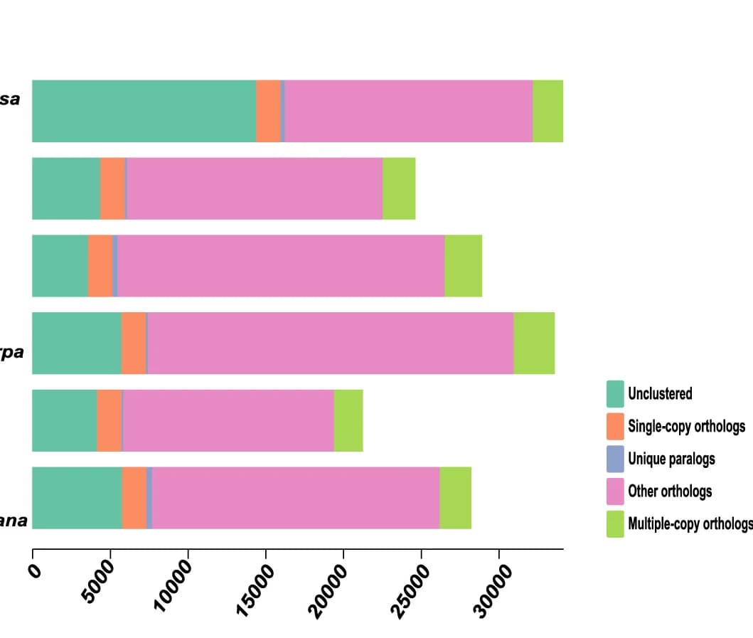 Open access visualization of Stacked Bar Plot, Gene Distribution, Genes